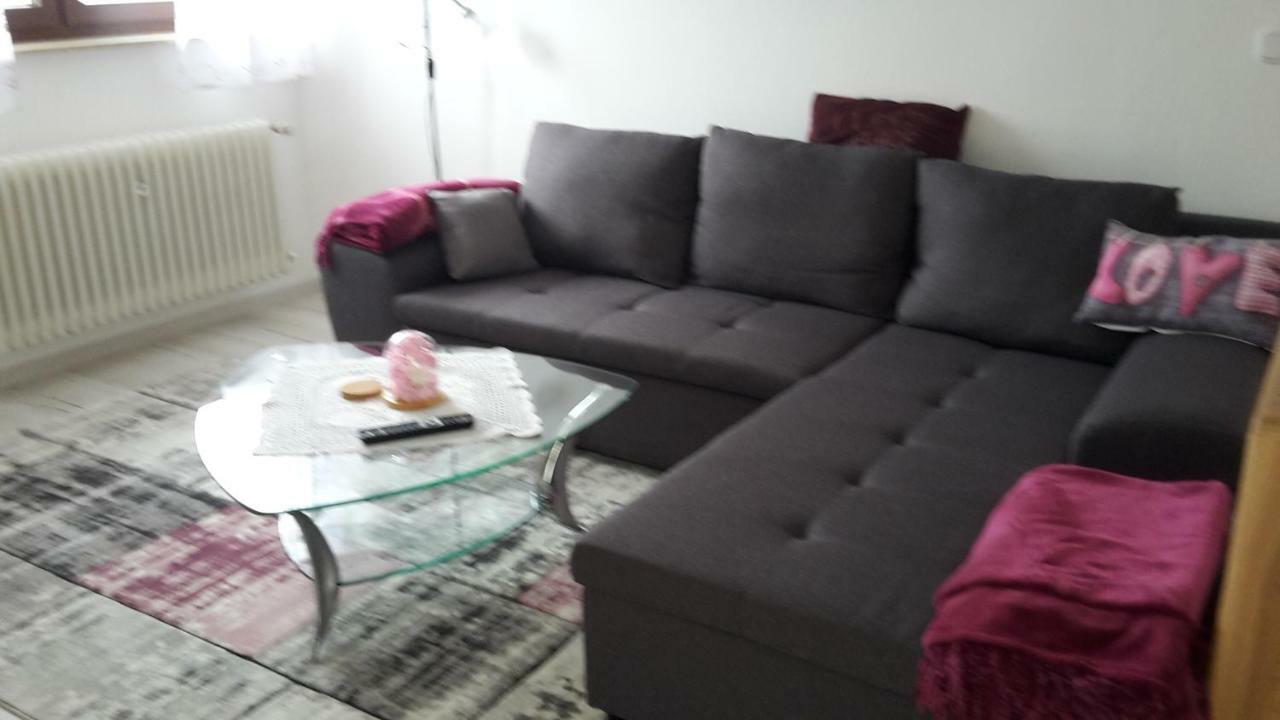 Ferienwohnung Schoenblick Waldmünchen Екстериор снимка