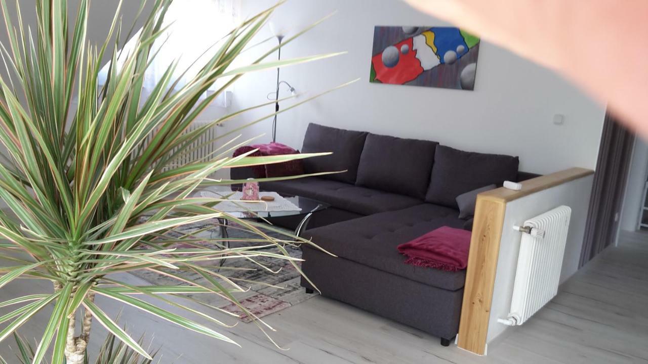 Ferienwohnung Schoenblick Waldmünchen Екстериор снимка
