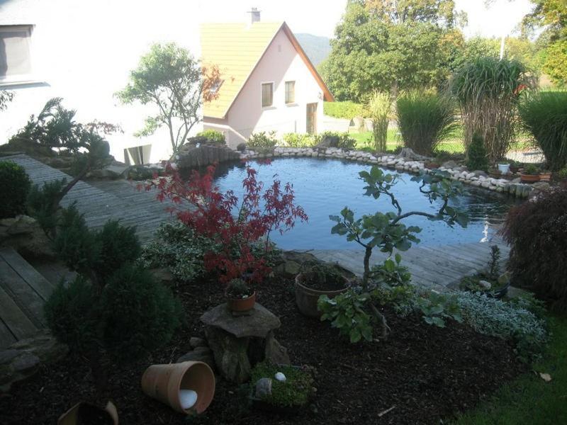 Ferienwohnung Schoenblick Waldmünchen Екстериор снимка